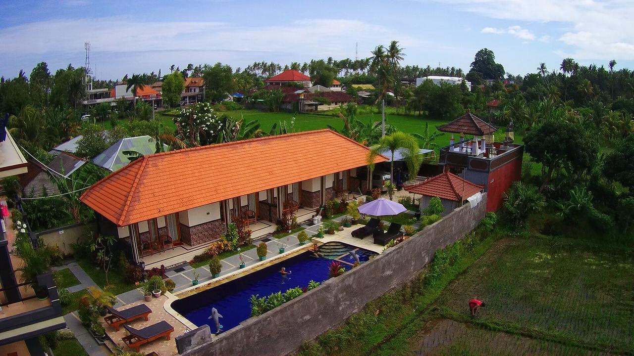 Summer Guesthouse Lovina Luaran gambar