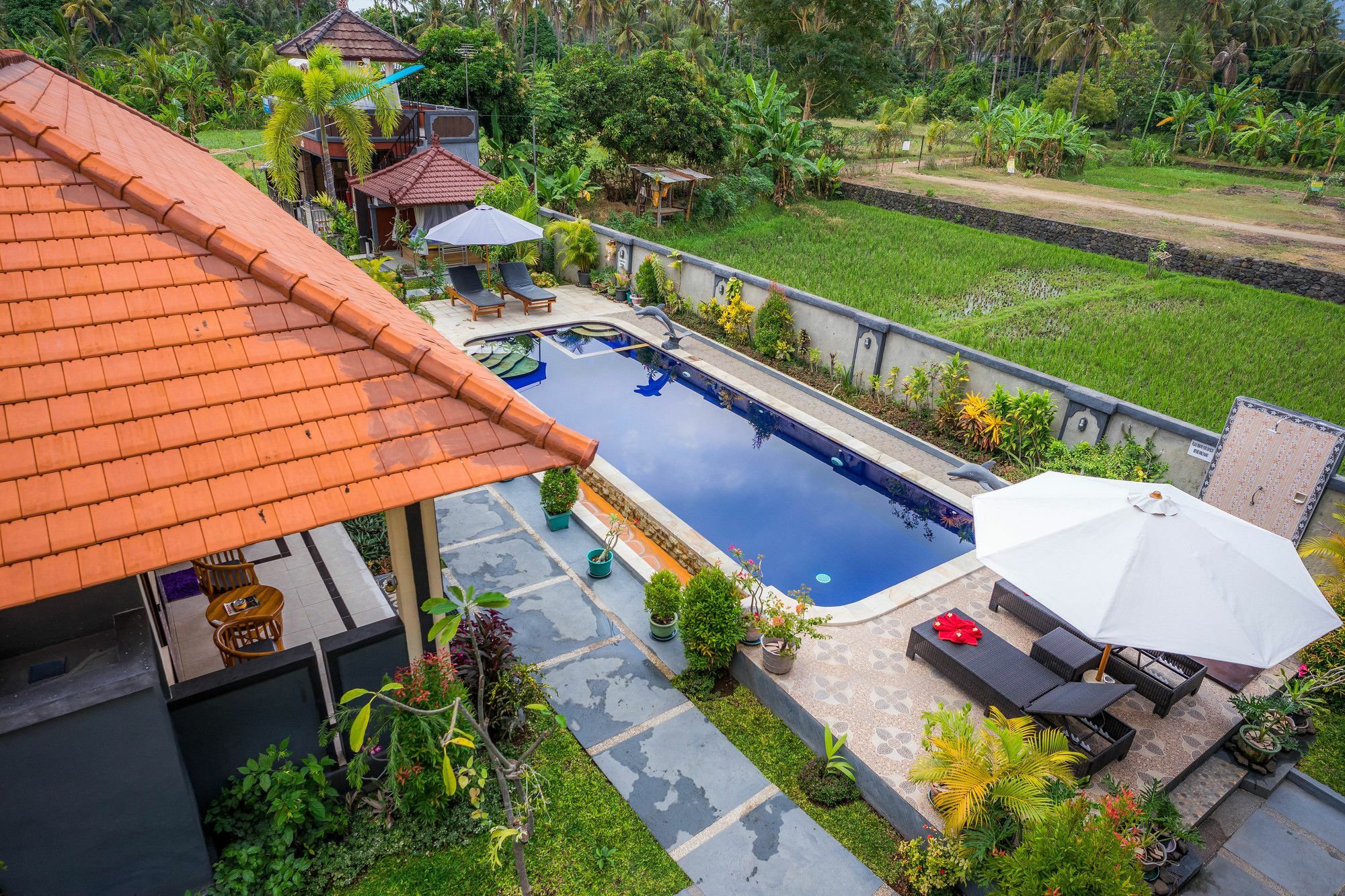 Summer Guesthouse Lovina Luaran gambar